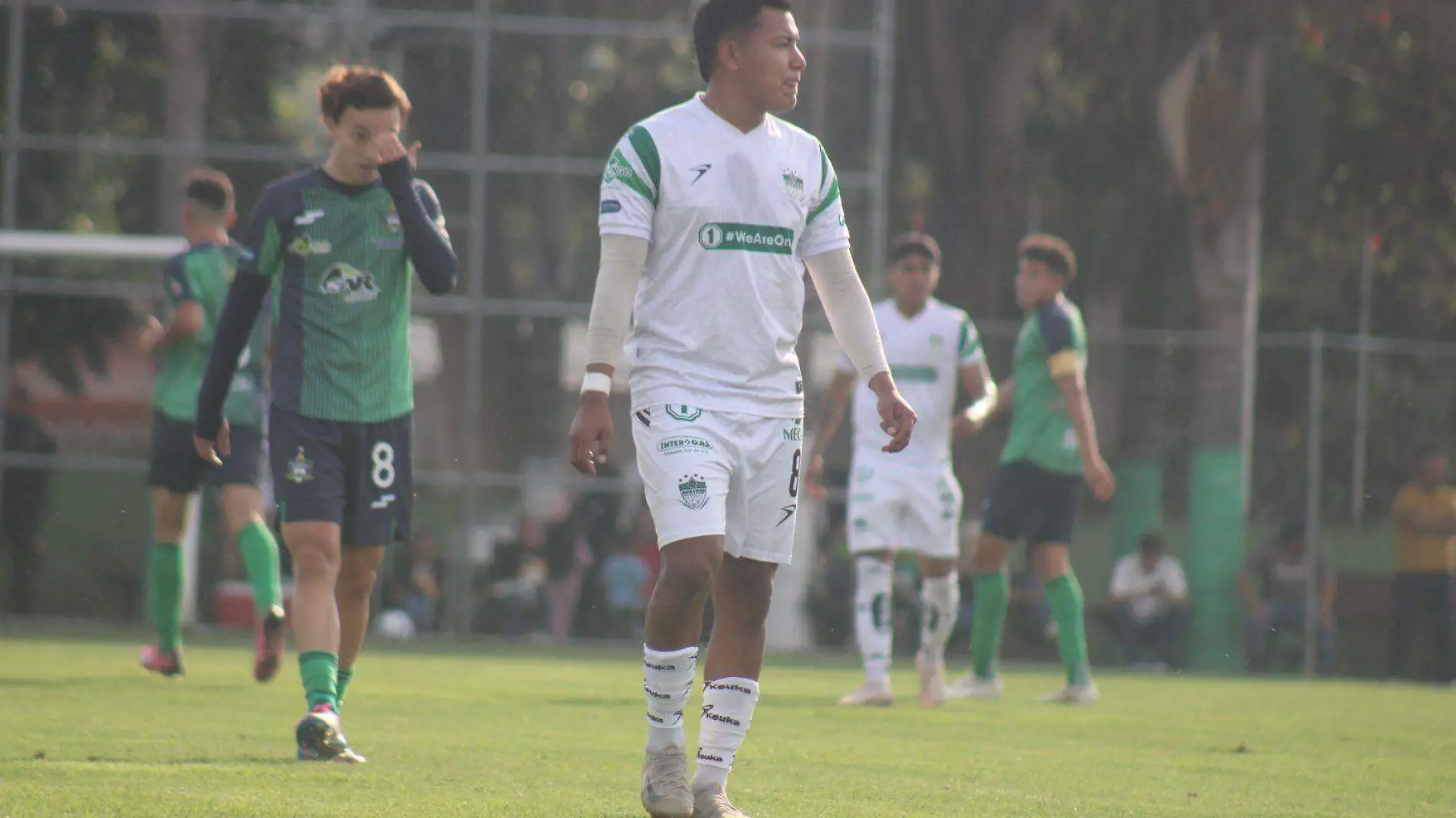 Alacranes de Durango futbol Liga Premier