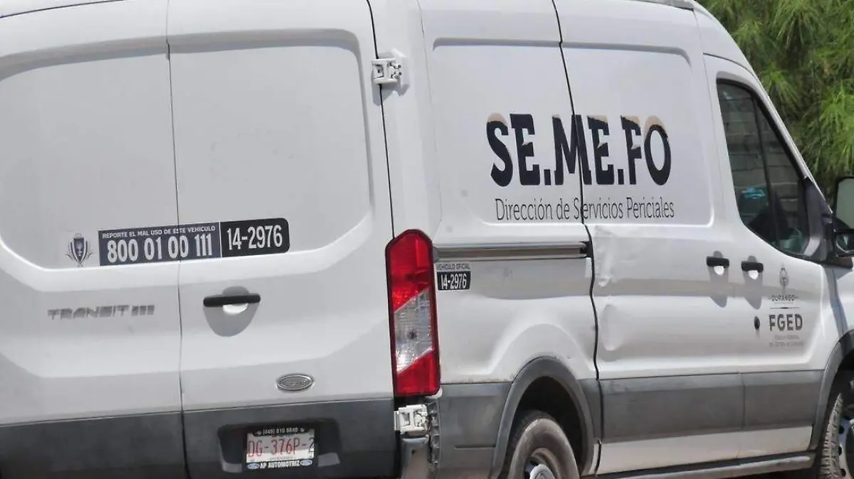 WhatsApp Image 2024-12-16 at 8.08.42 PM