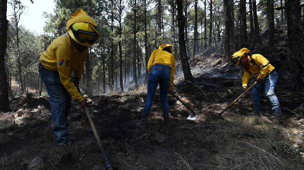 Incendios forestales