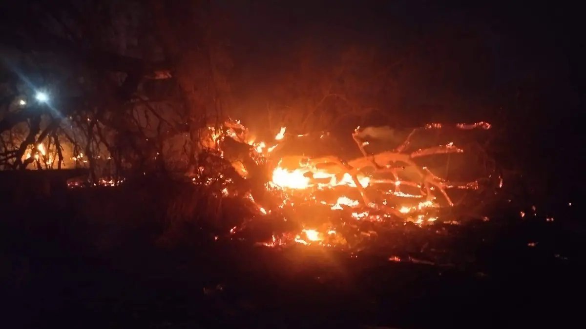 WhatsApp Image 2024-12-30 at 11.02.39 PM (1)