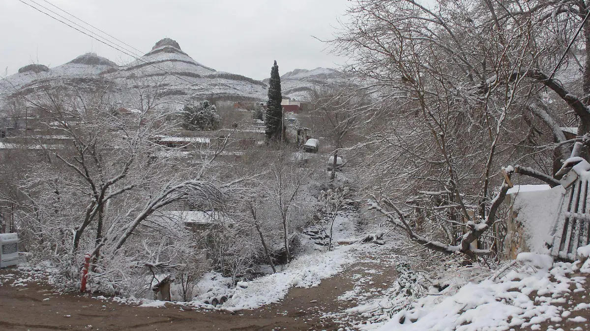 Caída de nieve en la sierra de México