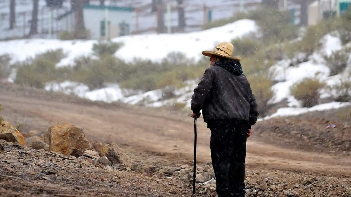la rosilla, guanacevi