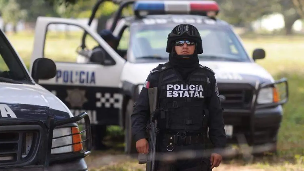 Policía estatal (1)