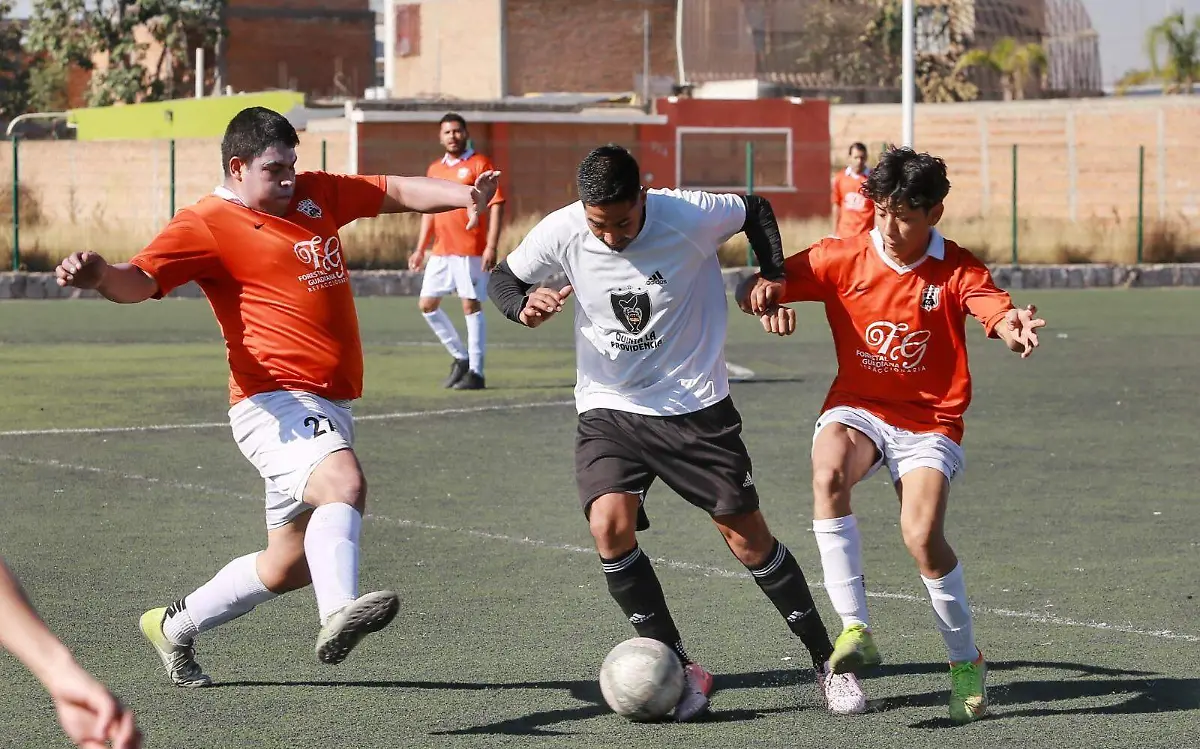 Liga de futbol Guadalupe Victoria