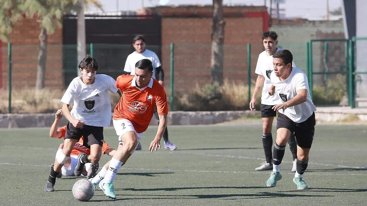 Liga de futbol Guadalupe Victoria