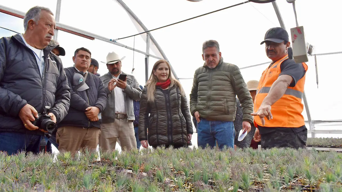 Durango destaca con modelo exitoso de manejo forestal y bonos de carbono
