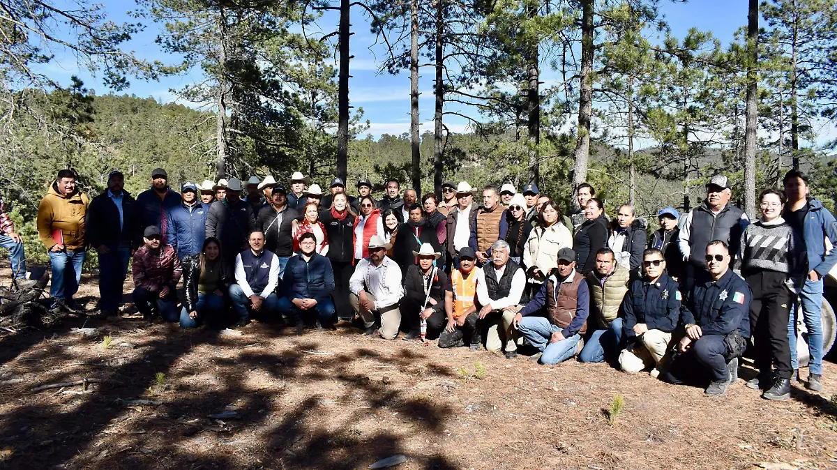 Durango destaca con modelo exitoso de manejo forestal y bonos de carbono