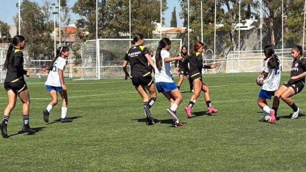 Futbol femenil
