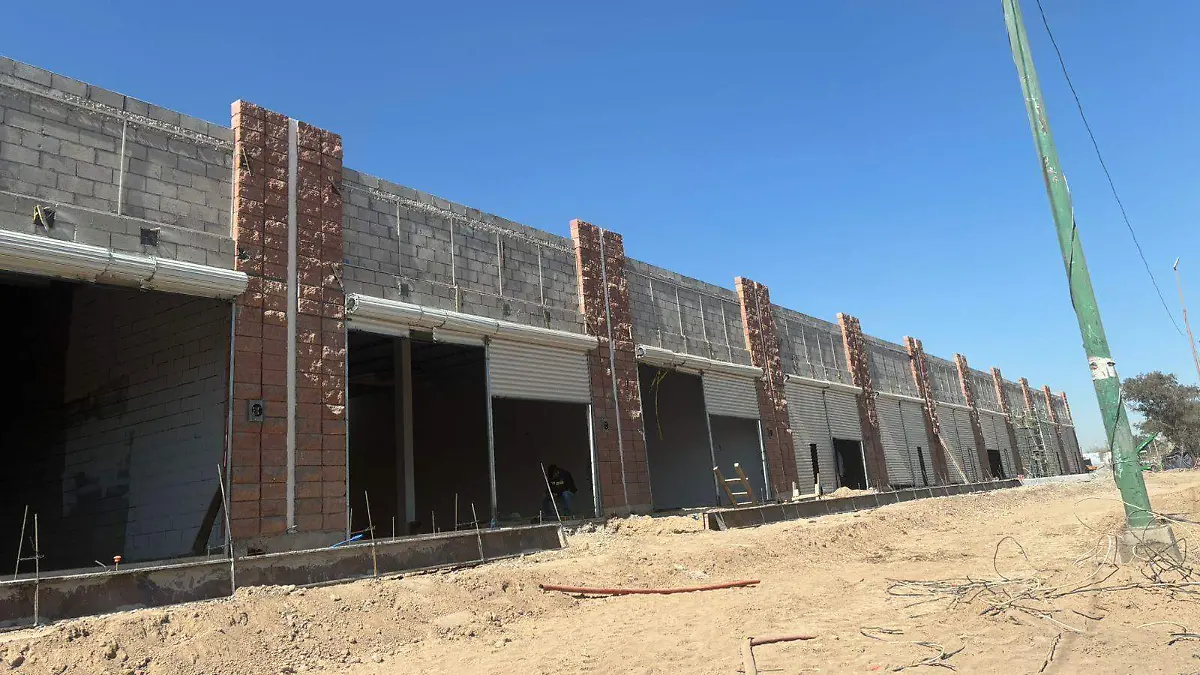 WhatsApp Image 2025-02-06 at 16.39.31