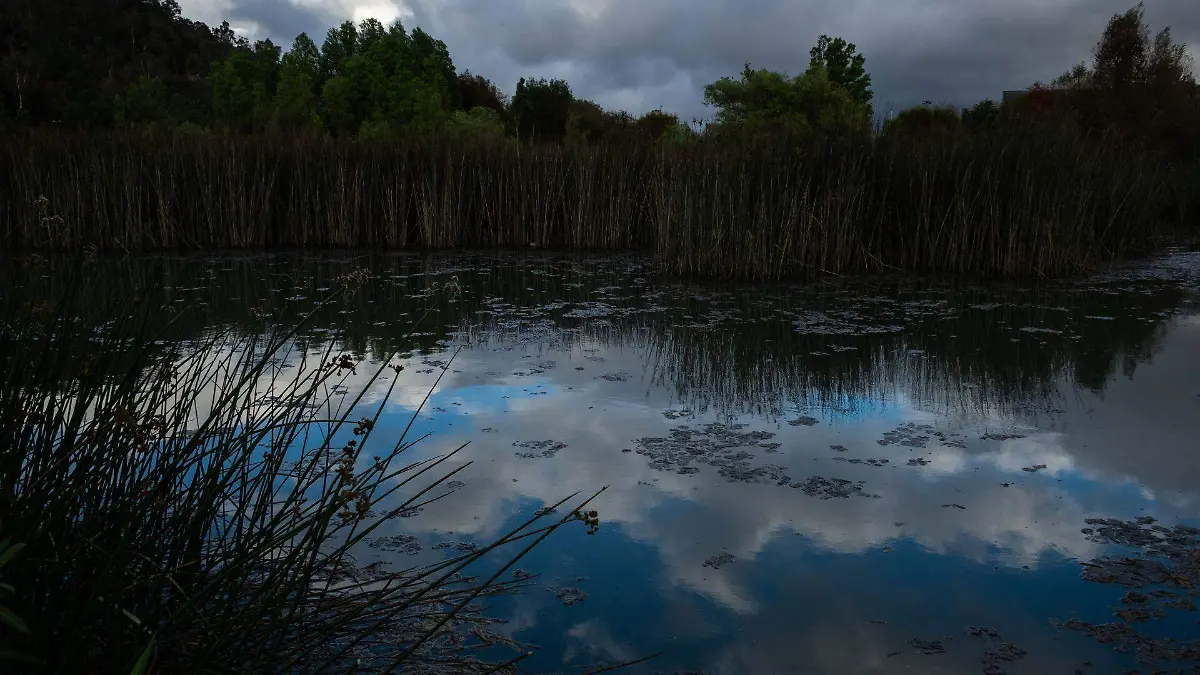 Tiene Durango 28 mil hectáreas de humedales
