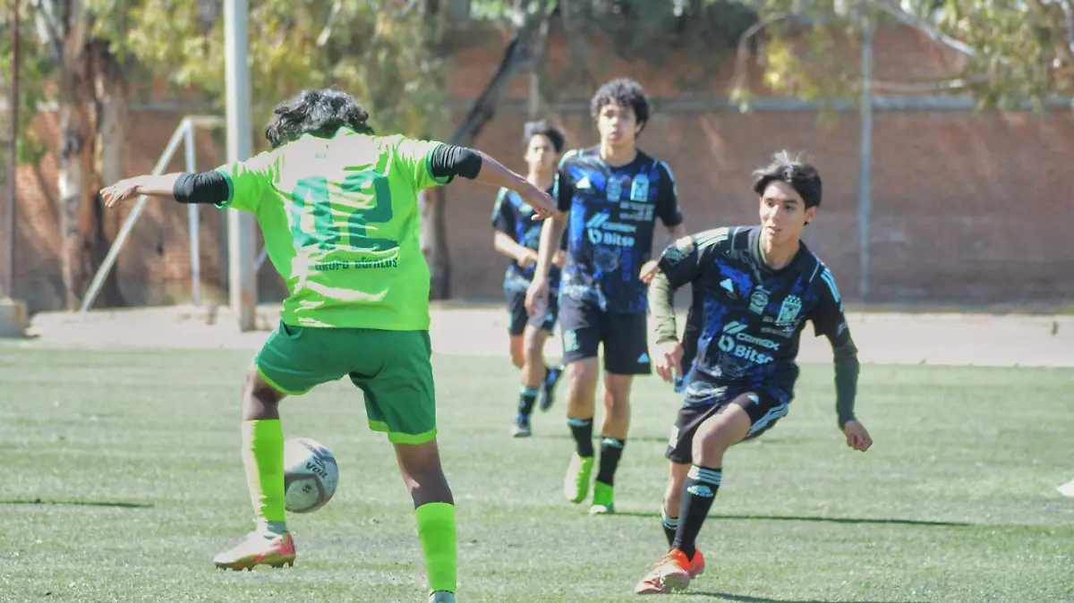 Tigres sub 17