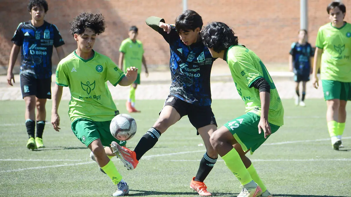 Tigres sub 17