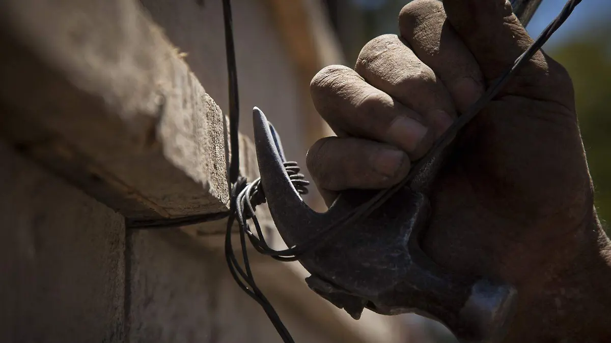 WhatsApp Image 2025-02-13 at 19.19.59