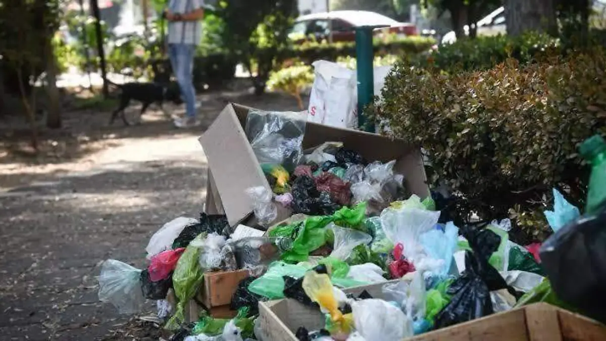 Basura en la ciudad de Gómez Palacio