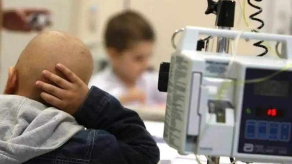 WhatsApp Image 2025-02-21 at 17.25.42