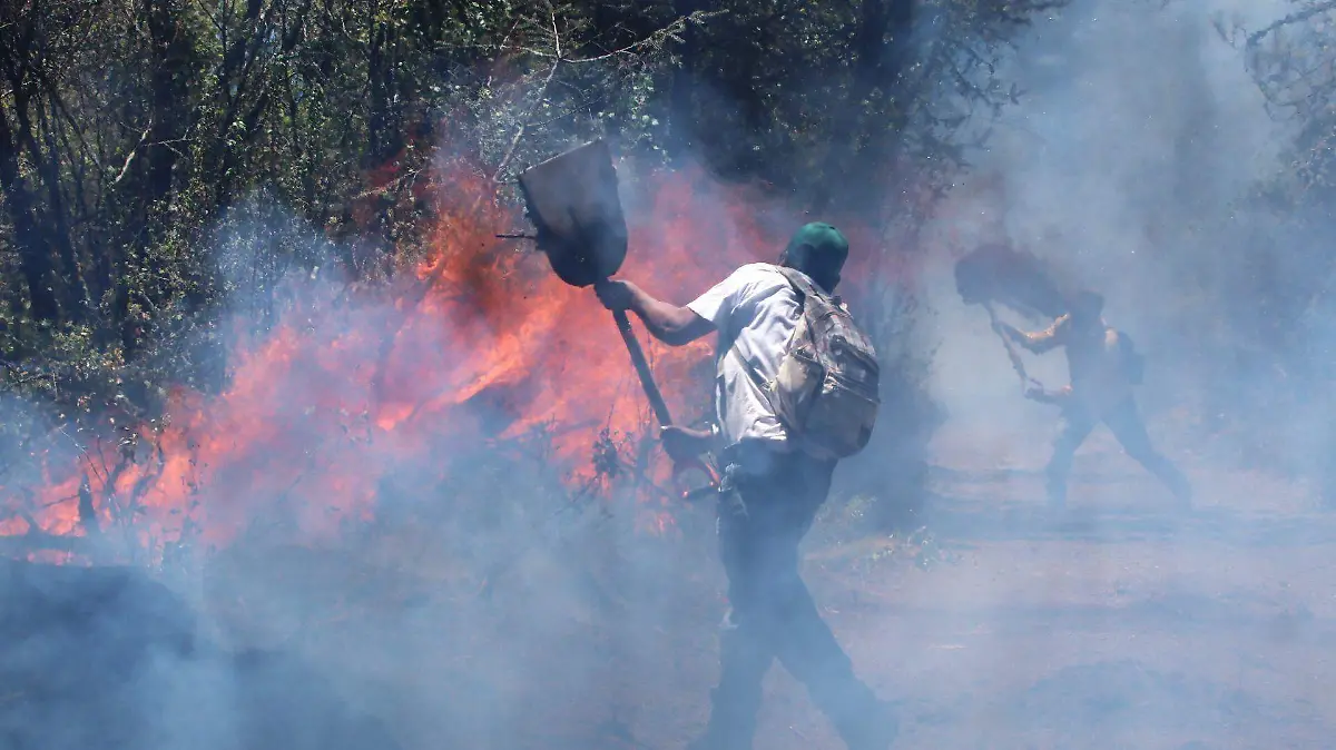 976430_Incendio Bosque de Agua_web