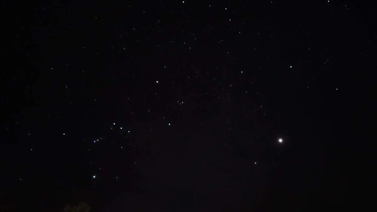 cazadores