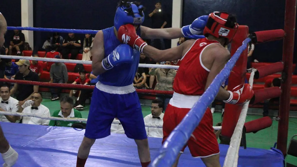 boxeo etapa estatal