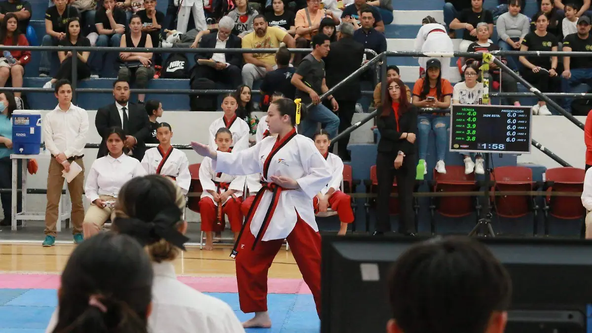 Los mejores en formas en el estatal de tkd