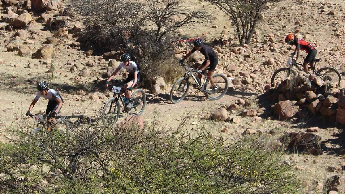 ciclismo de montaña estatal