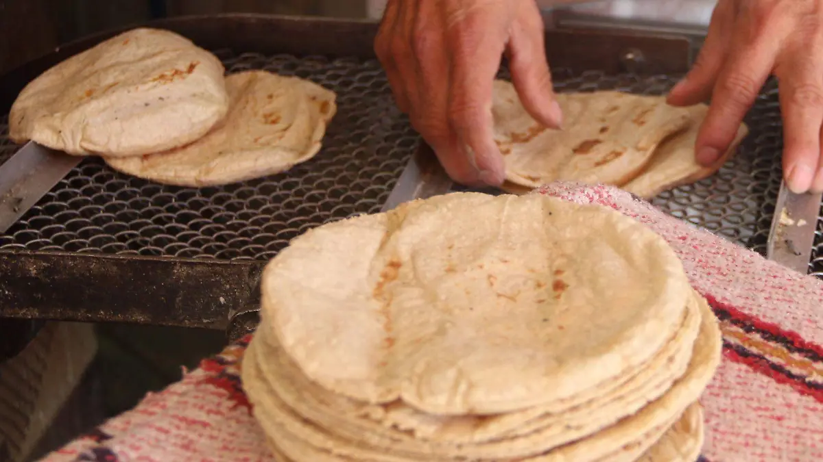 1012565_Tortilla a 22 pesos el kilo_web