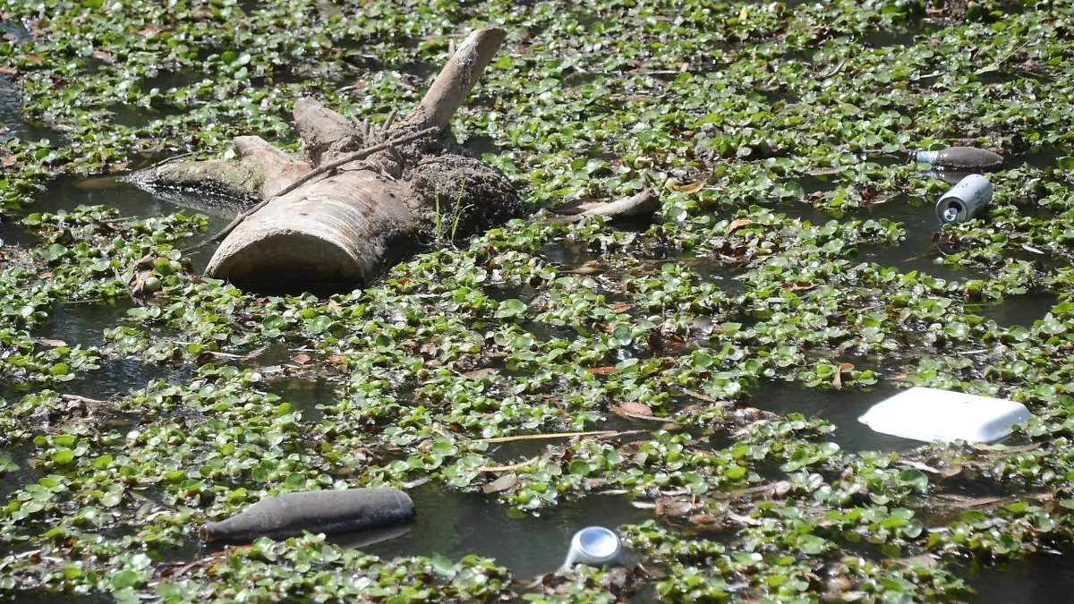 río tunal contaminación