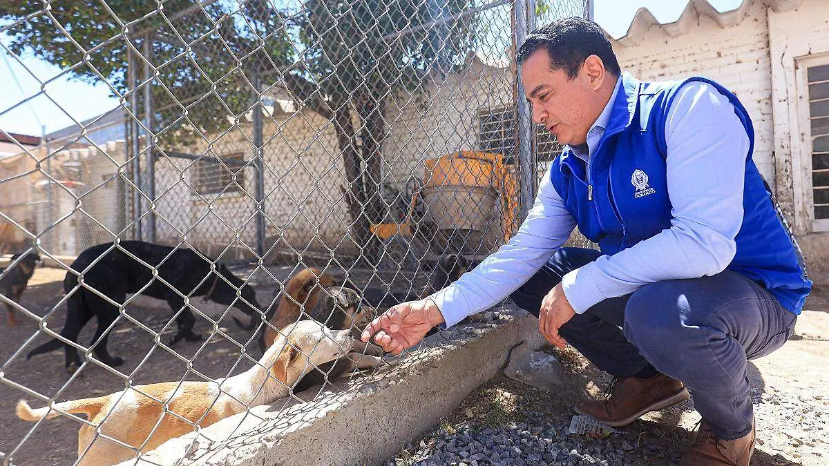 02. CENTRO DE ADOPCIÓN ANIMAL (4)