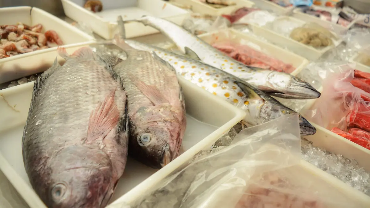 WhatsApp Image 2025-03-26 at 14.49.21