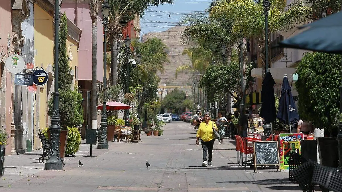 WhatsApp Image 2025-04-02 at 3.40.25 PM (2)