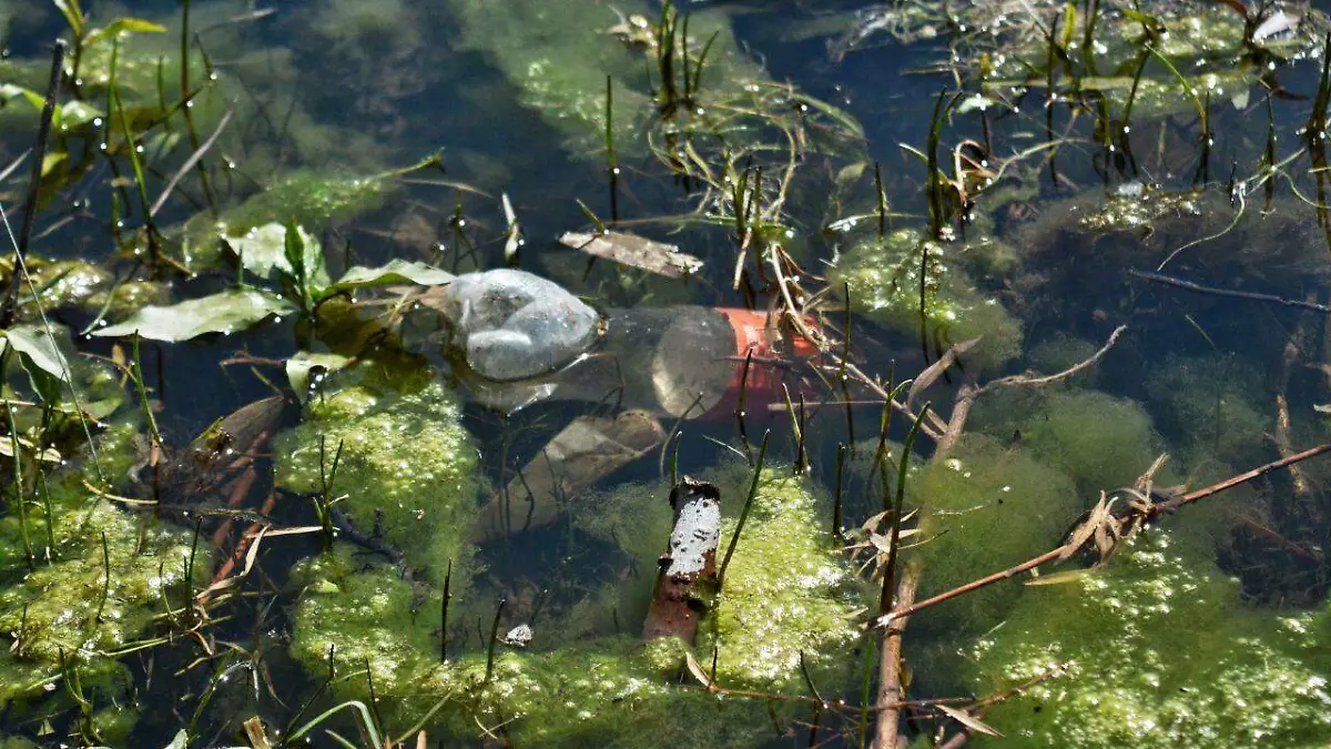 IMG_20250411_145014_430