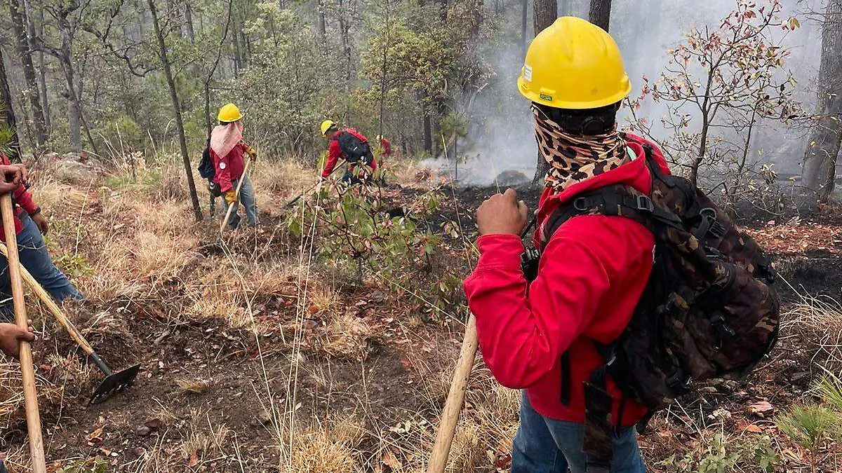 WhatsApp Image 2025-04-13 at 2.13.32 PM (2)