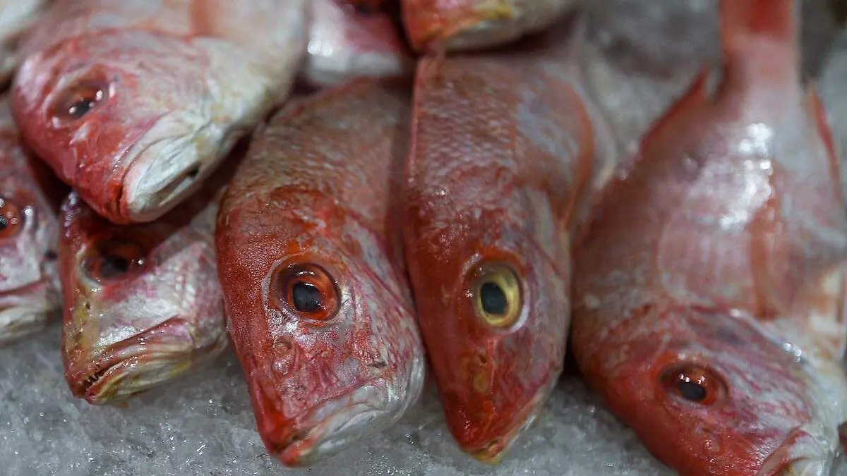 Venta de pescado en Cuaresma