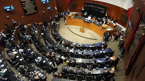 1029252_Sesión Ordinaria Senado_impreso