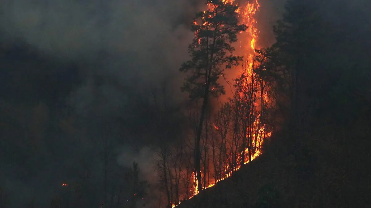 1027049_Mexicapan Incendio Forestal_web