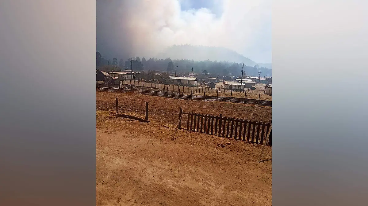 Habitantes reportan incendio forestal en El Cocono, Guanaceví
