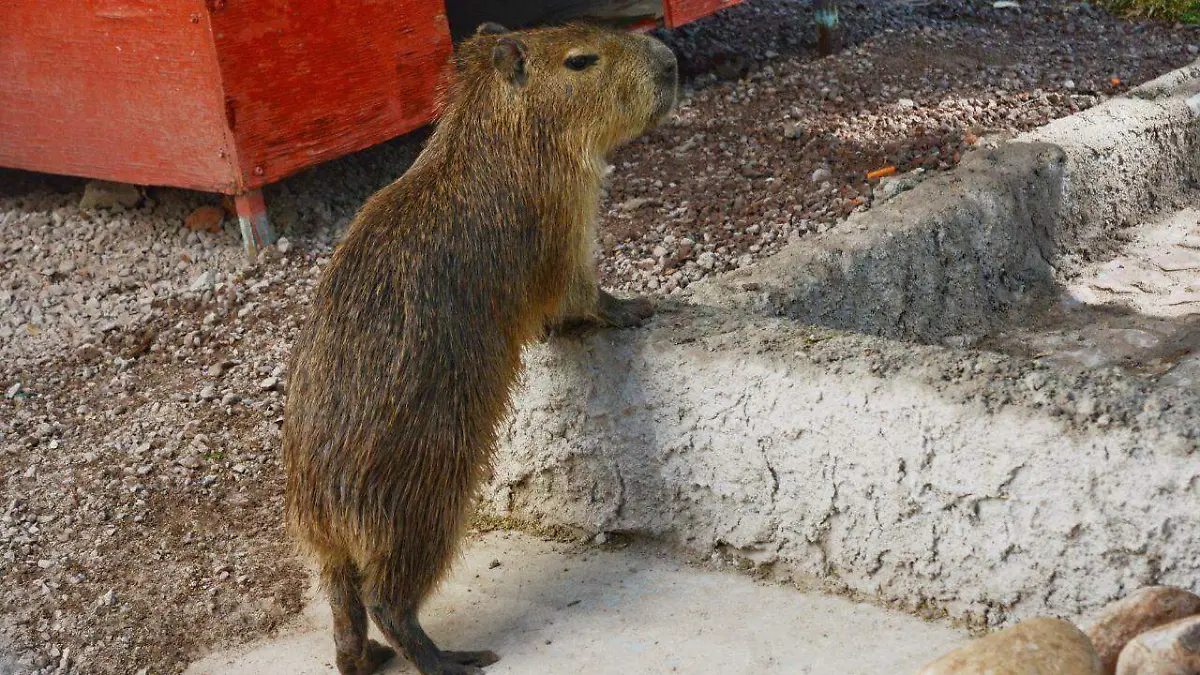 IMG_20250430_152530_653