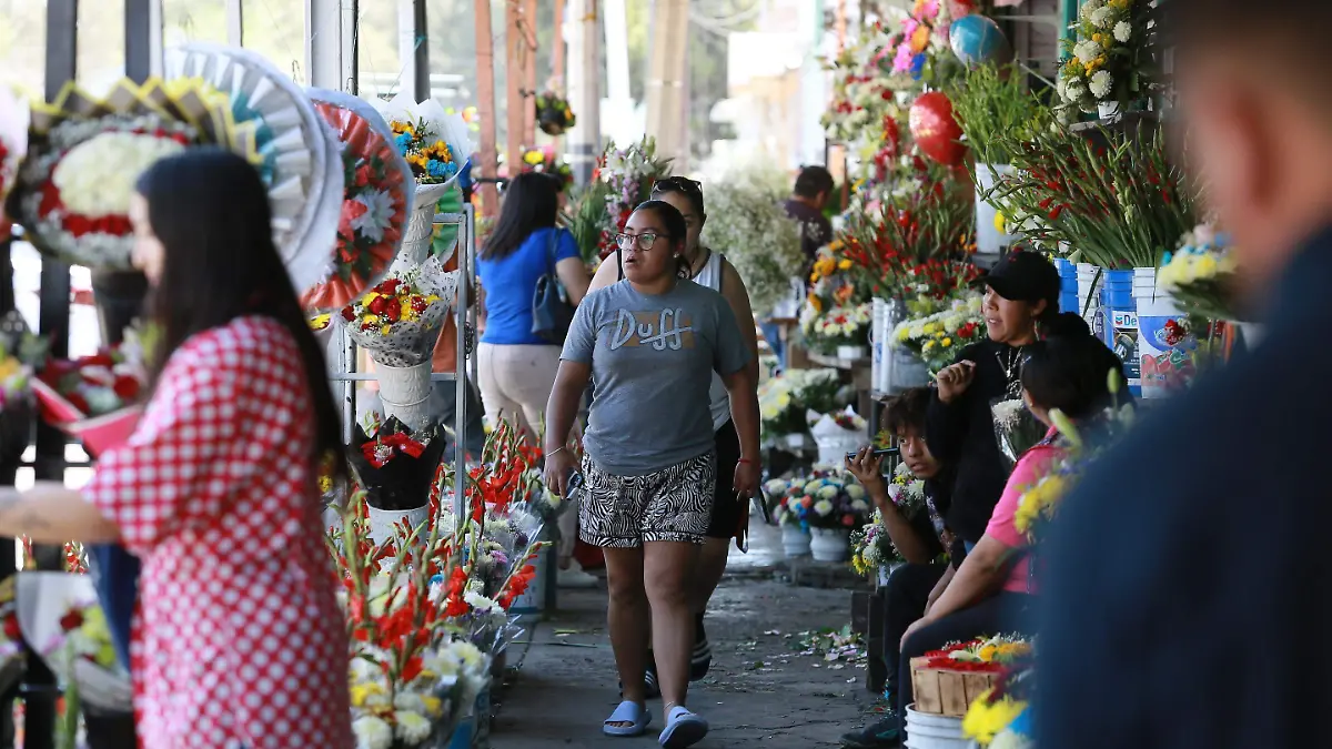 Comercios en Durango / Venta de flores 