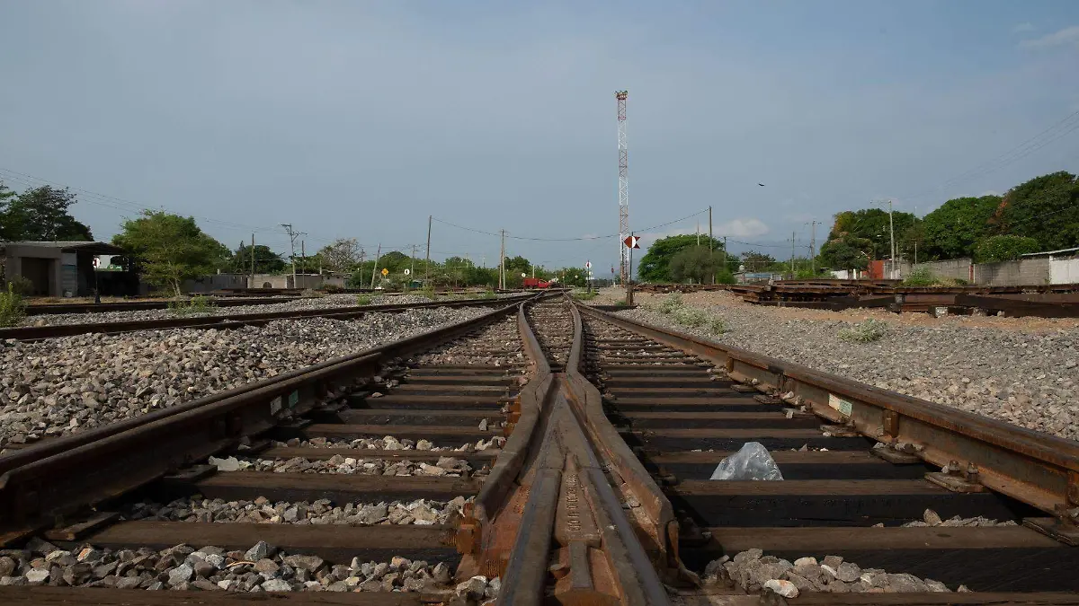 933147_Trabajos Transístmico_web