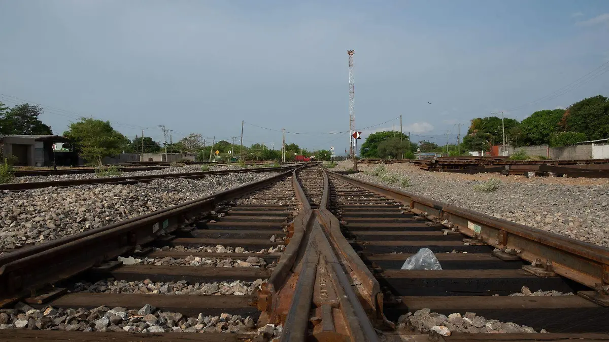 933147_Trabajos Transístmico_web