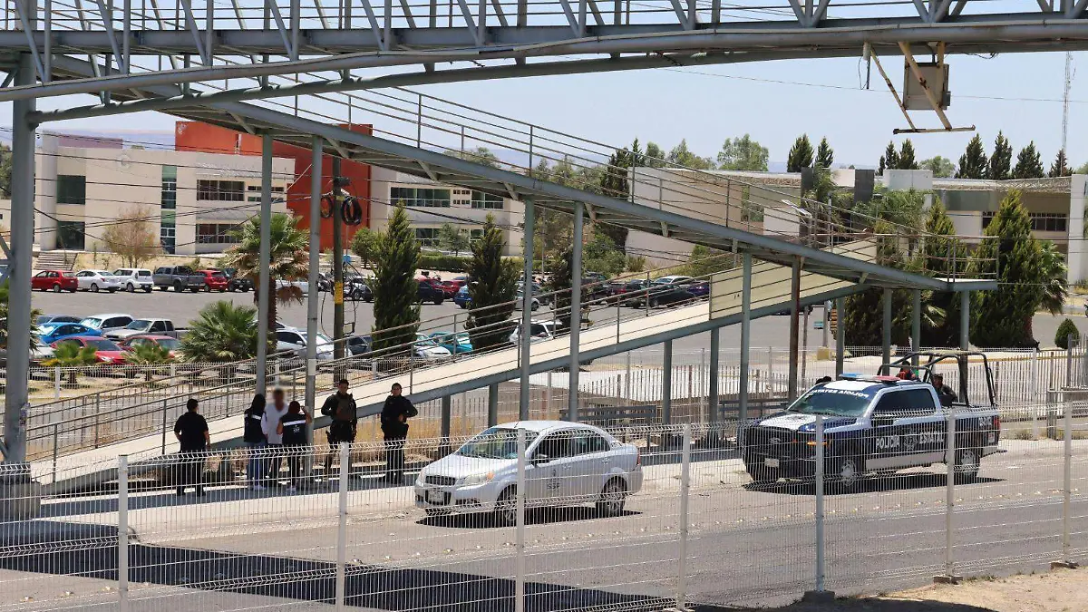 WhatsApp Image 2025-05-14 at 3.10.19 PM