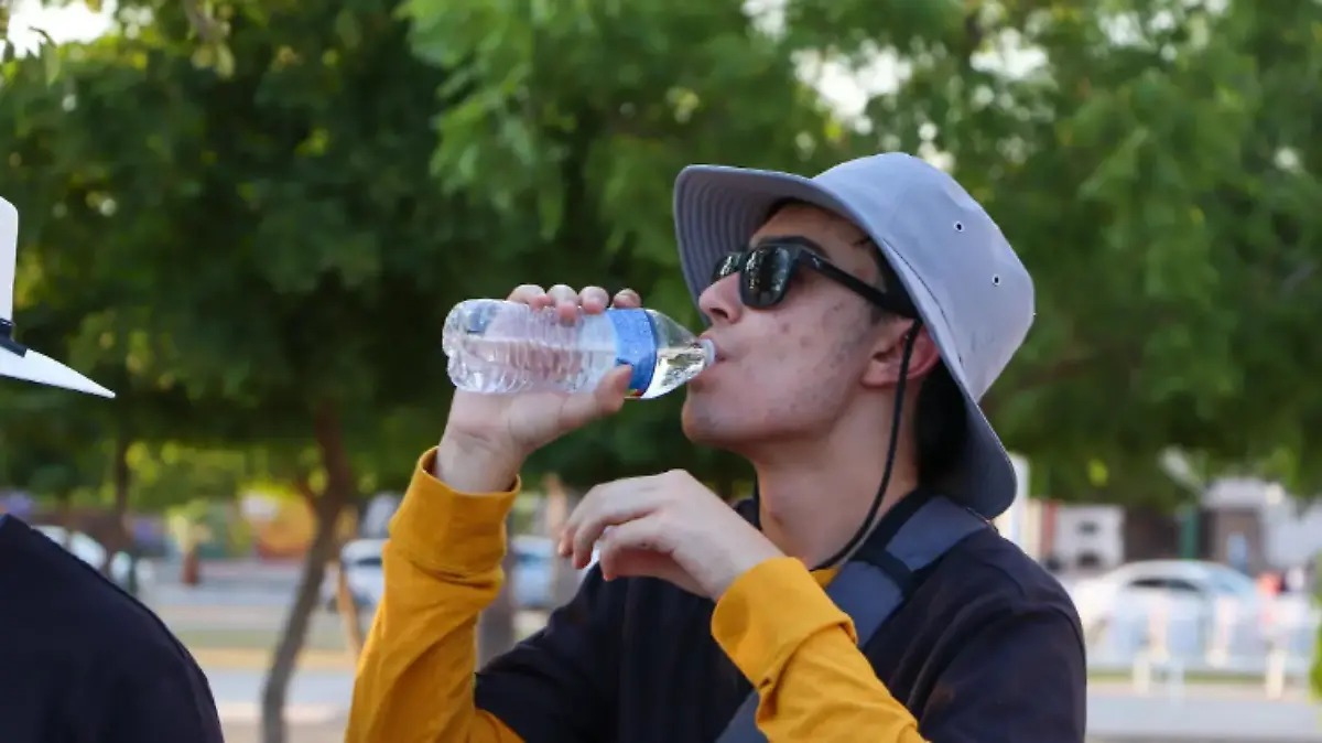 Captura de pantalla 2025-05-15 142612