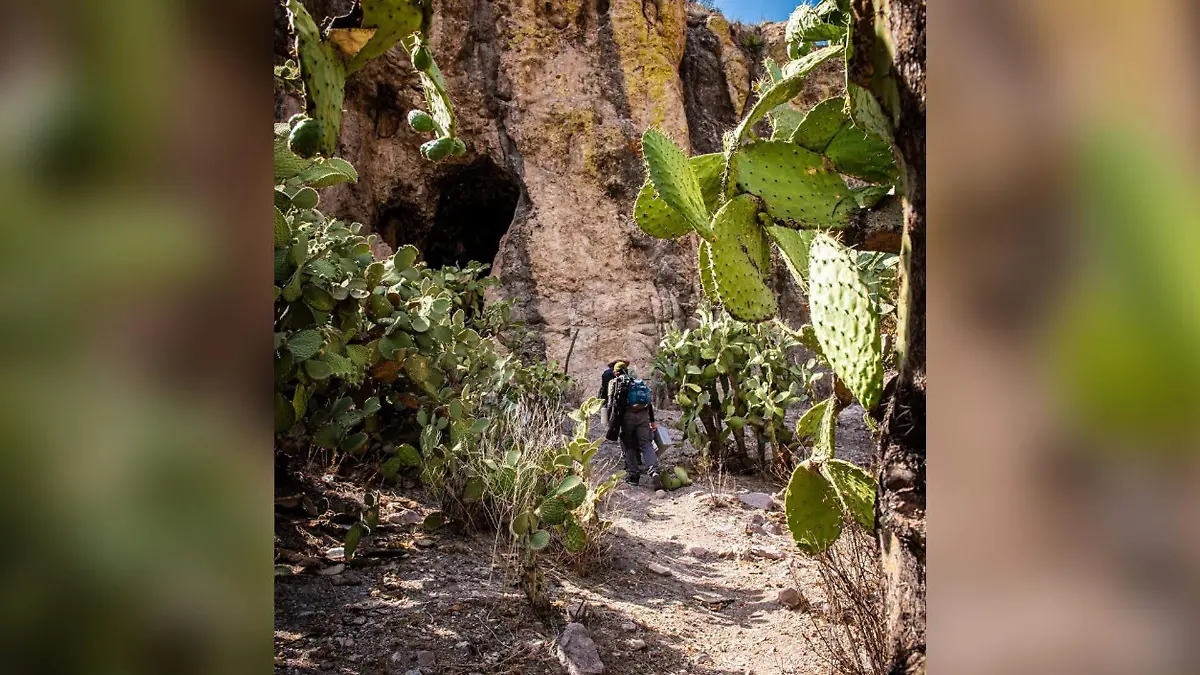 La Cueva de las Mulas: tesoro histórico de Durango en riesgo