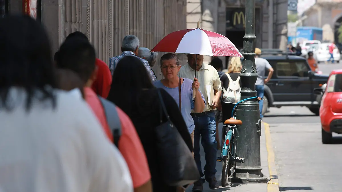 WhatsApp Image 2025-06-07 at 14.10.06 (1)