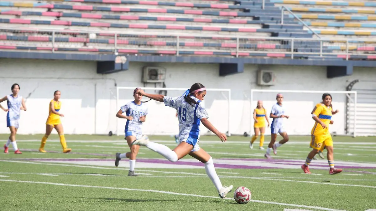 WhatsApp Image 2025-06-12 at 15.48.55 (1)