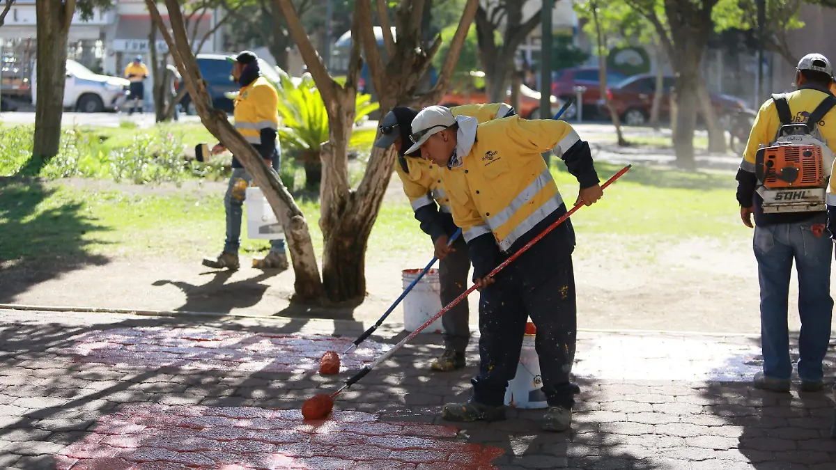 WhatsApp Image 2025-06-17 at 4.33.13 PM