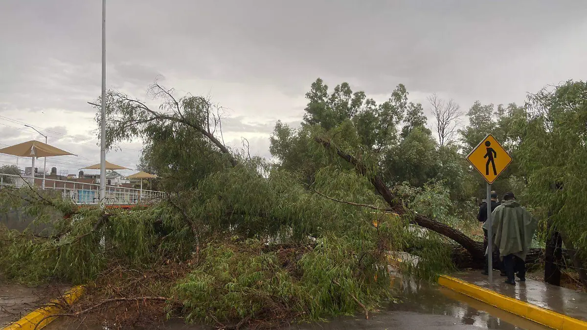 WhatsApp Image 2025-06-21 at 11.29.27 AM