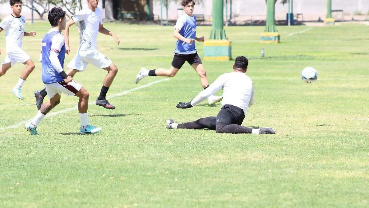 visorías Alacranes de Durango