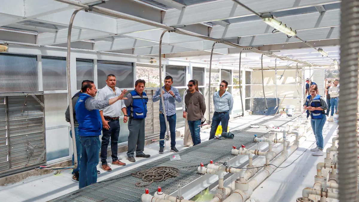 Mejores espacios para el deporte en Durango; avanza Municipio con remodelación de la Alberca 450