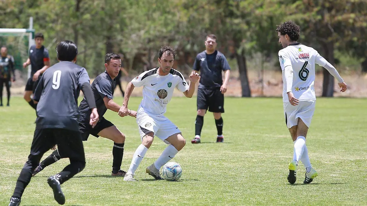 Gallos cantan el campeonato