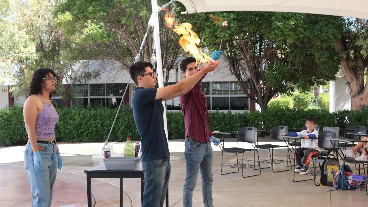 Vive un verano diferente en los campamentos del ITD 